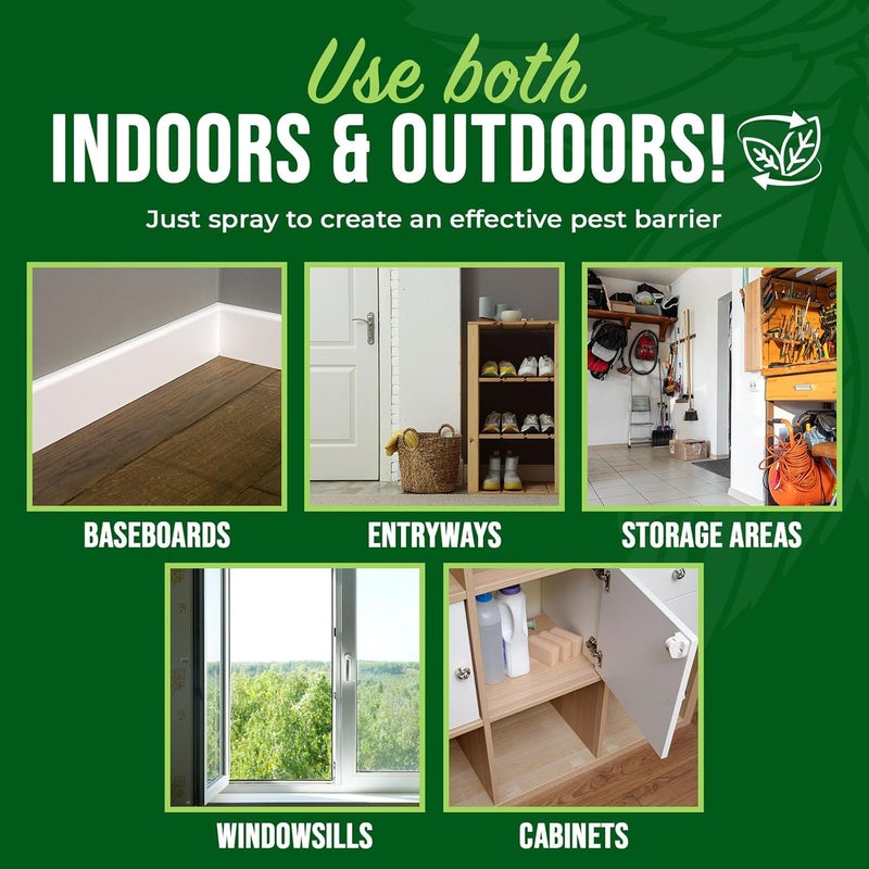 Mighty Mint رذاذ طارد الحشرات بزيت النعناع - تحكم في الحشرات داخل المنزل وخارجه للعنکبوت، النمل، الصراصير، وأكثر - تركيبة نباتية، قوية جداً - 16 أونصة - Image 4